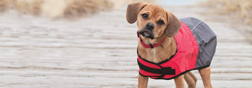 Breathe comfort dog on sale coats