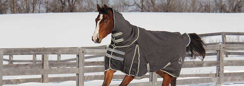 Bottes hautes d'hiver Horze Aspen – Greenhawk Equestrian Sport