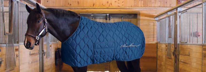  Channel Quilt Stable Blanket (78, Black) : Pet Supplies