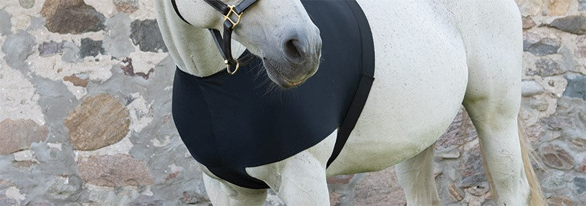 Horse Blanket Replacement Strap - Dark Grey