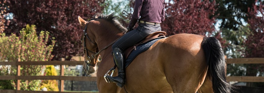Ruban adhésif Argent – Greenhawk Equestrian Sport