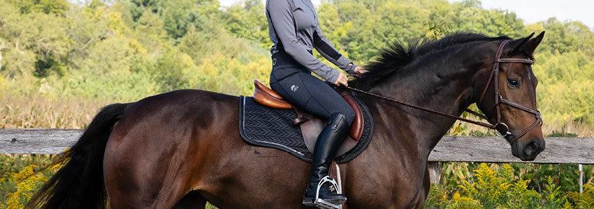 Tempo Equestrian Velocity 2.0 Tight - Kids' – Greenhawk Equestrian Sport