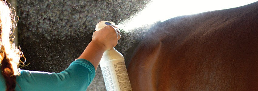 General Sprays – Greenhawk Equestrian Sport