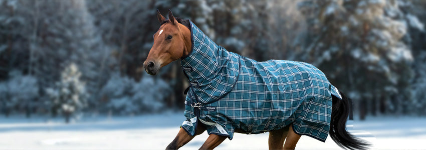 Greenhawk x Rhino Plus Turnouts