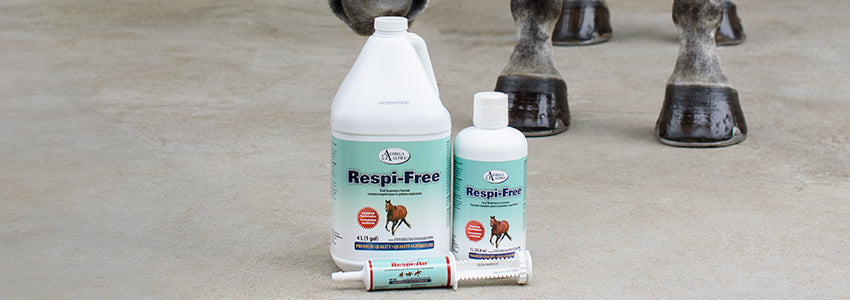 20% Off Omega Alpha, Equine Choice & Golden Horseshoe