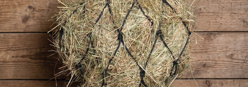 30% Off Shedrow & Supra Stable Supplies