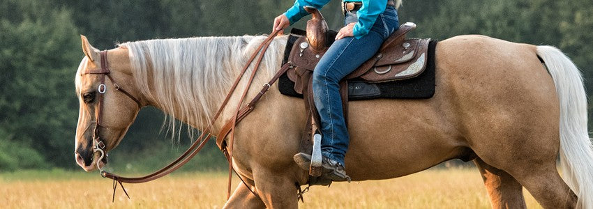 Éperons et courroies d'éperons western – Greenhawk Equestrian Sport