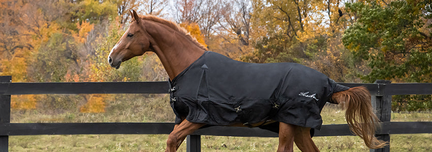 30% Off Shedrow Blankets