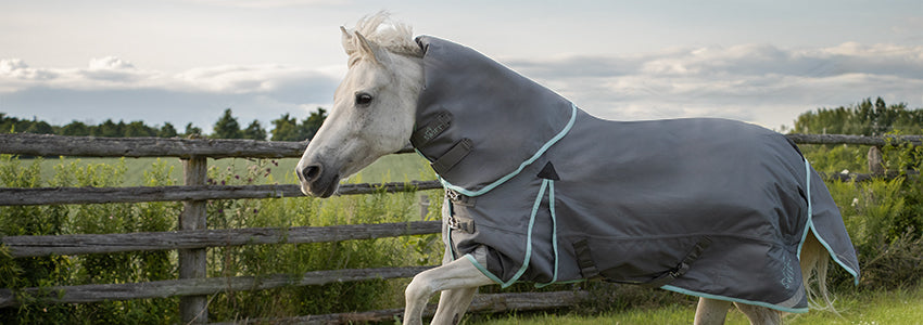 30% Off Swift Blankets