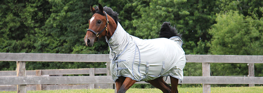 50% Off Shedrow & Supra Fly Masks, Sheets & Boots