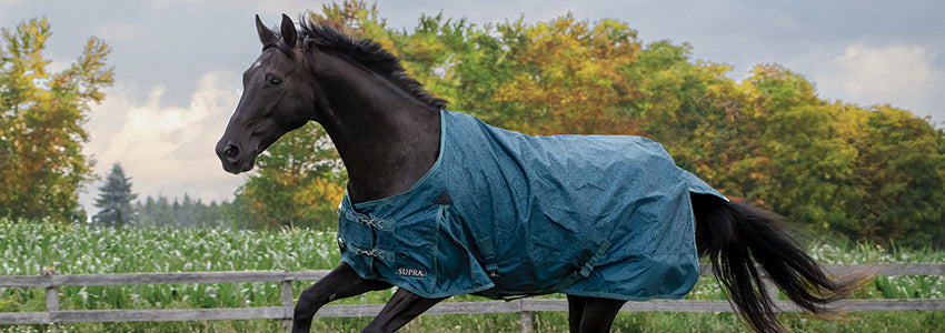 50% Off Supra & Shedrow Rainsheets