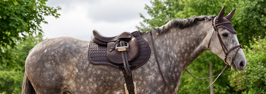 50% Off Shedrow Saddle Pads
