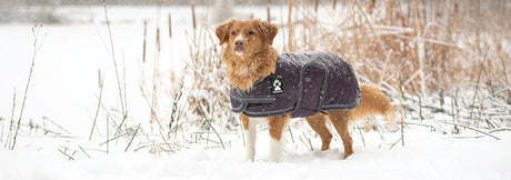50% Off Shedrow K9 Dog Coats