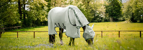 Greenhawk Amigo Limited Edition Fly Collection