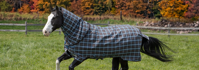 Fall Sneak Peek