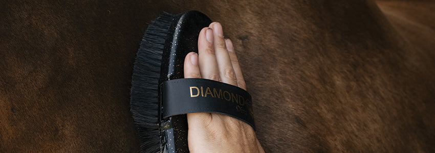 Greenhawk’s Good Grooming Awards