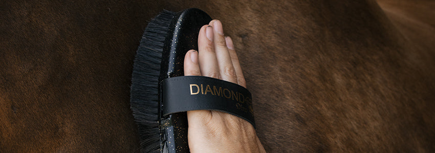 Greenhawk’s Good Grooming Awards: Brushes