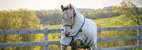 Summit Verano Collection