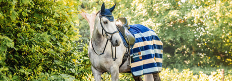 Coolers & Exercise Sheets