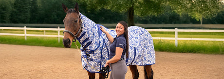 Limited Edition Cornflower Collection