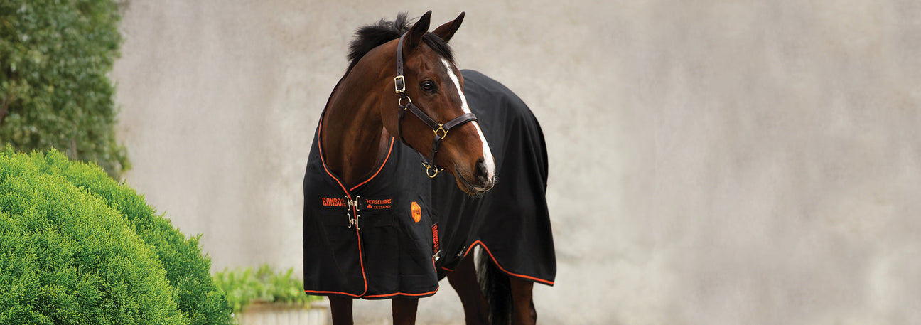 Online Exclusive! Save 60% Off Rambo Ionic Horse Wear