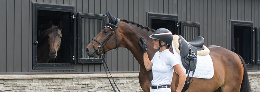 Dressage Bridles