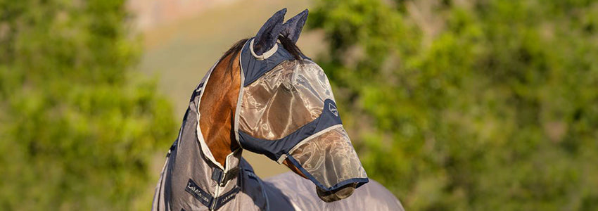 UV Protection For Your Horse