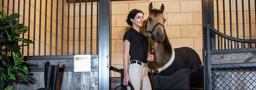 Shedrow Stable Series - For The Stable!