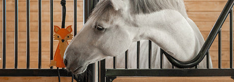 Gifts For Your Horse