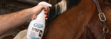 Galloping Goop Canada