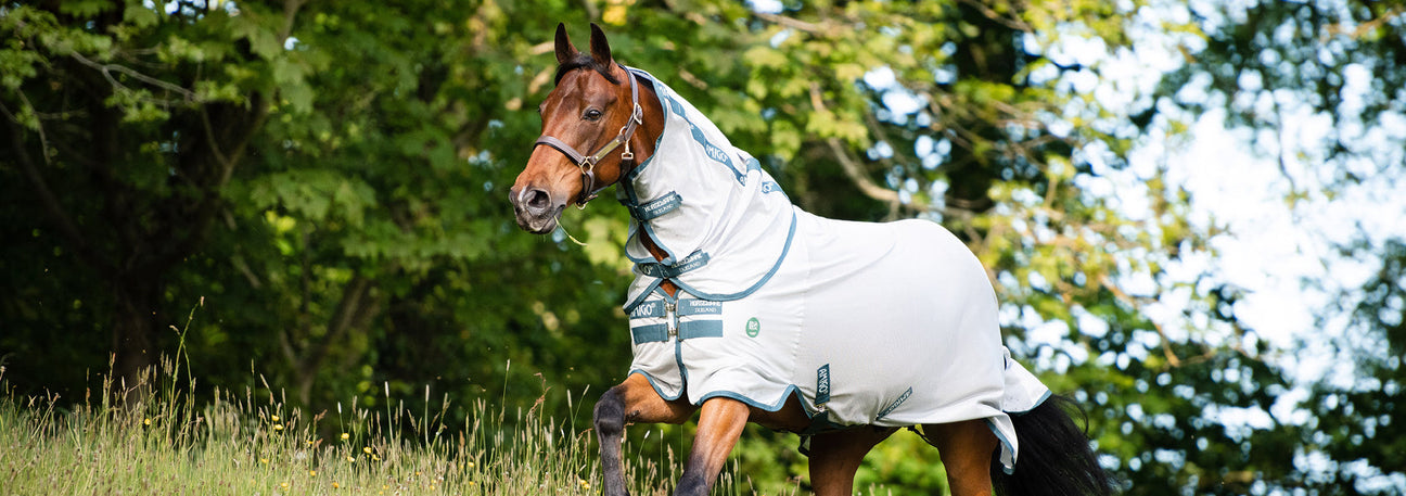 Online Exclusive! Save On The Amigo AmEco Fly Sheet & Selct Ice-Vibe