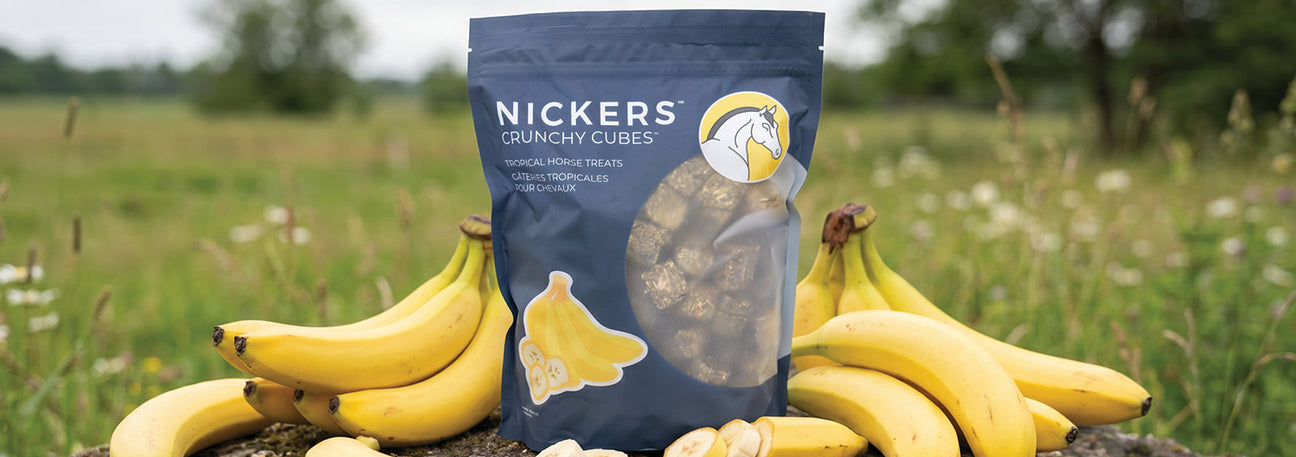 Online Exclusive! Save On Select Horse Treats