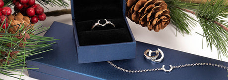 Cinto x Kelly Herd Collection