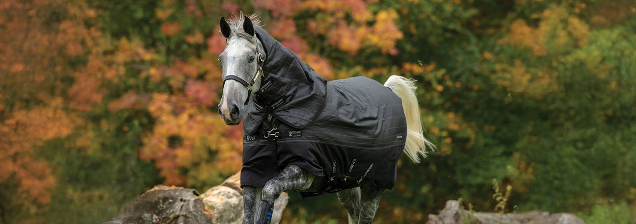 Online Exclusive! Up To 50% Off Select Blankets