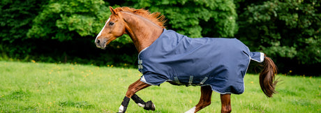 Online Exclusive! Save On Select Blankets