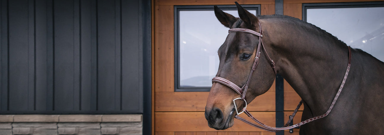 Online Exclusive! Up To 30% Off Select Tack