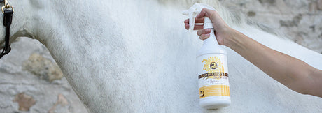 Healthy HairCare SunCoat spray bottle being used on a grey horse