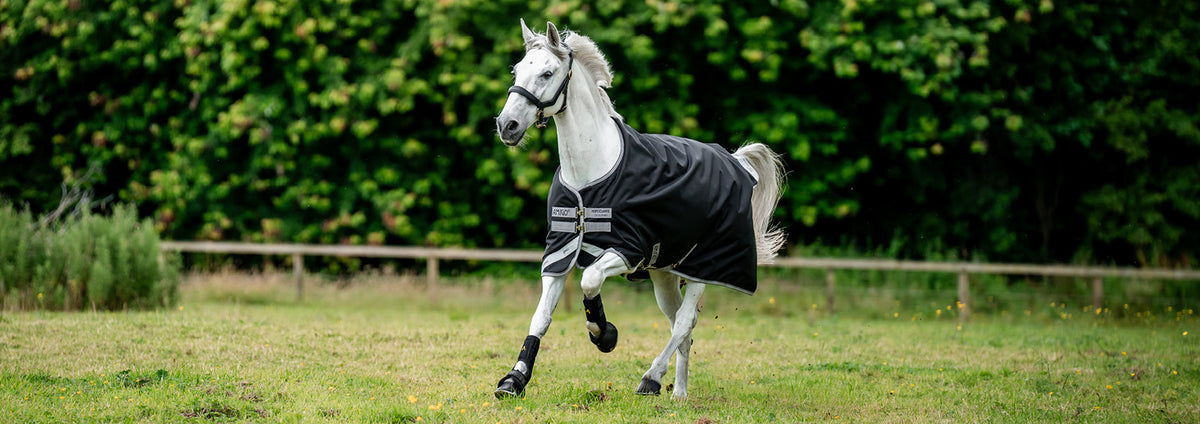 Online Exclusive! 40% Off Select Amigo Bravo 12 Turnout Blankets