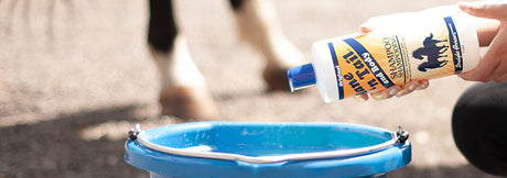 Shampoos & Conditioners