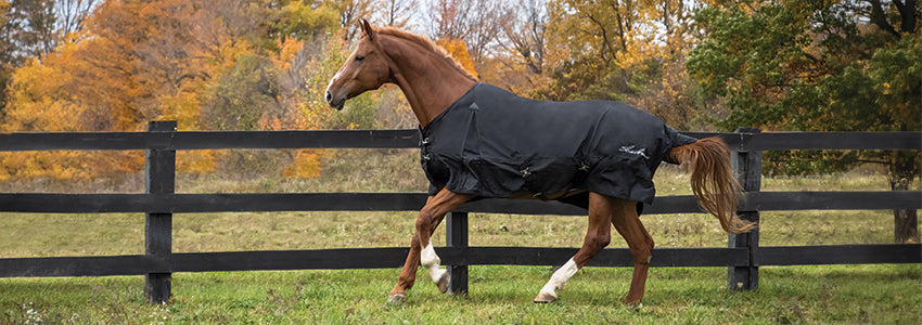 Shedrow Rainsheets