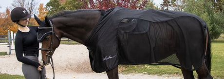 Shedrow Onyx Capsule Collection