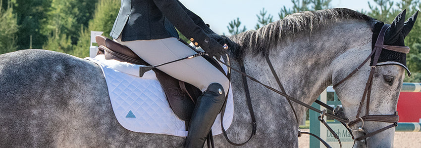 Shop Savings For You & Your Horse!