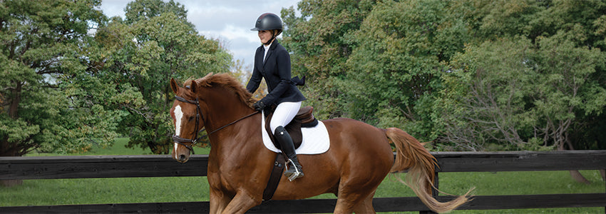 Show Season Stock Up – Page 9 – Greenhawk Equestrian Sport