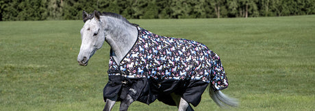 Limited Edition Space Ponies x Greenhawk Collection