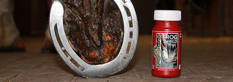 Targeted Hoof Support