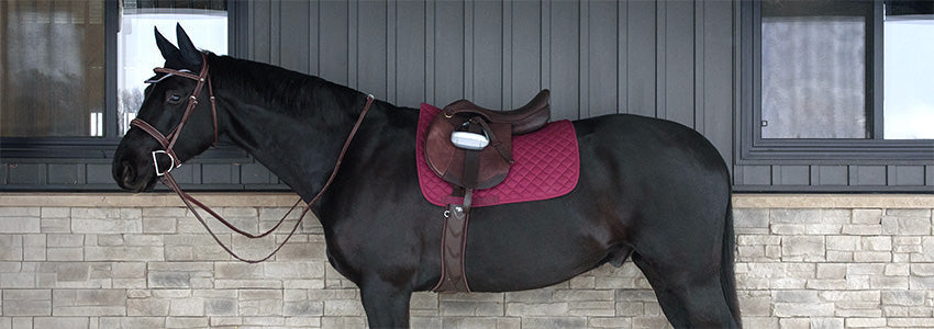 Upgrade Your Essentials