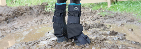 Weatherproof Your Barn Routine