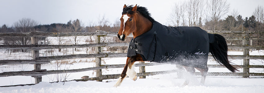 couvertures hiver pour cheval – FG Pro Shop Inc couvertures hiver pour cheval – FG Pro Shop Inc