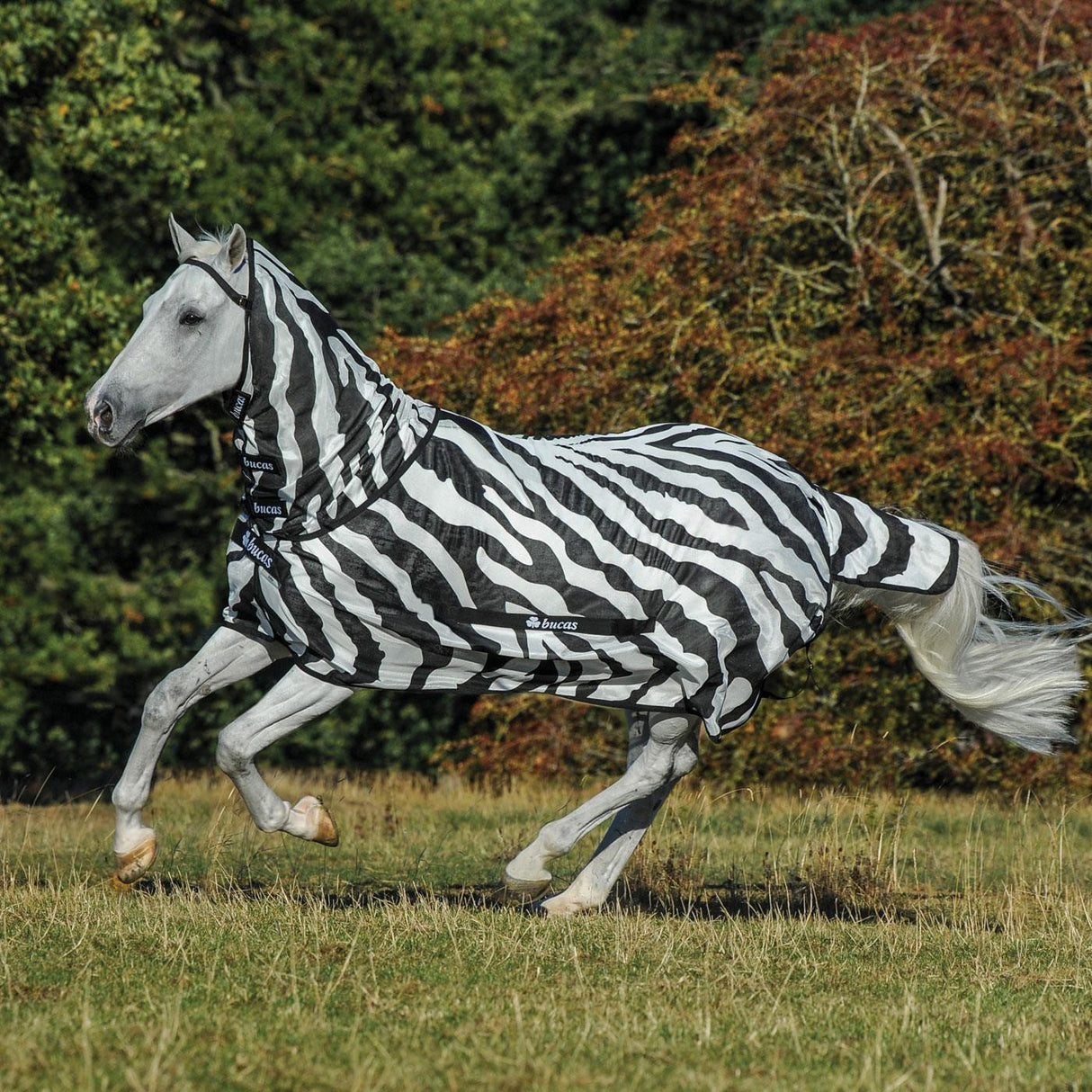 Bucas Buzz Off Zebra Full Neck Fly Sheet - Pony