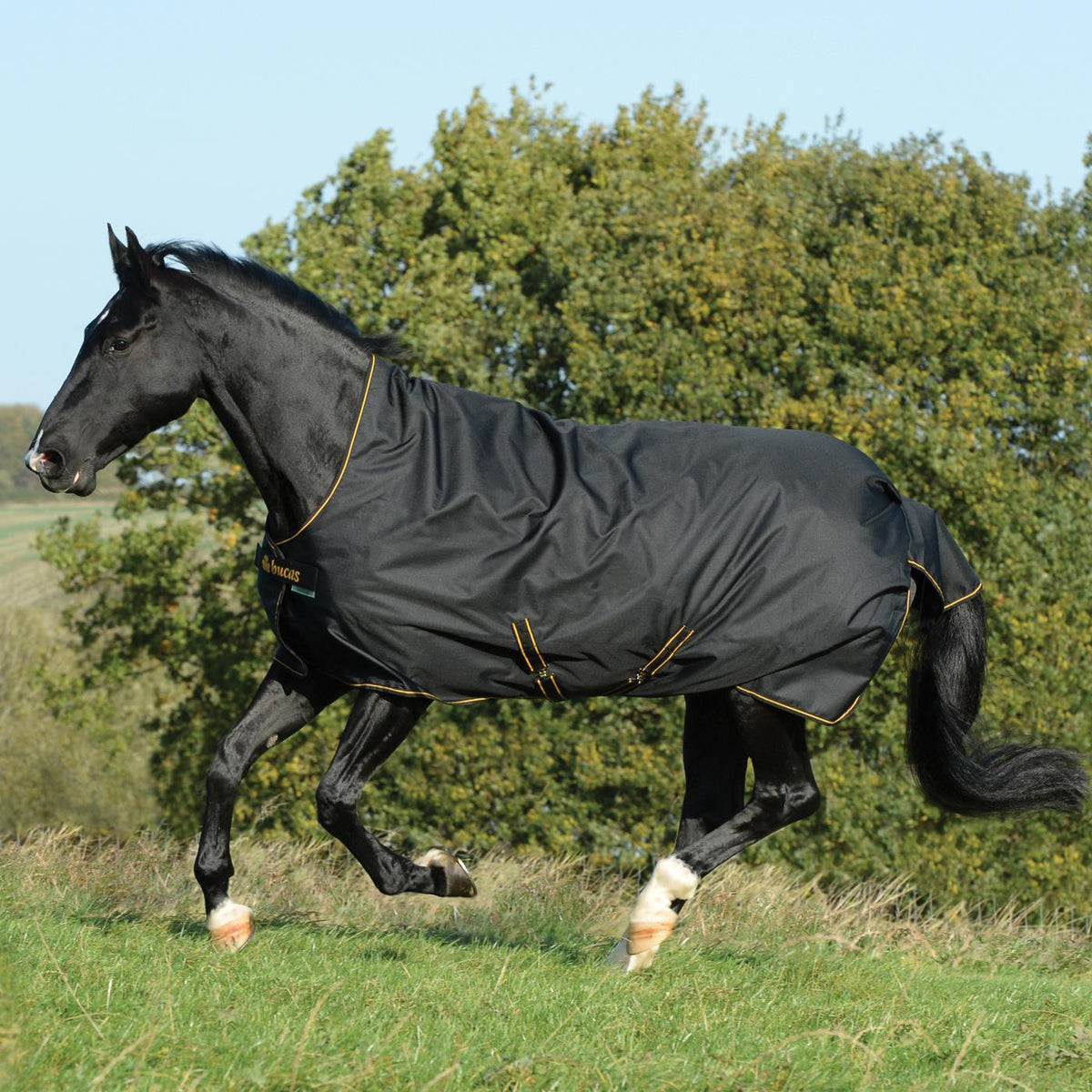 Bucas Irish Turnout Light 50 g Greenhawk Equestrian Sport